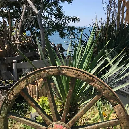 Budget First Sea Line Apt. Flora 아파트 *