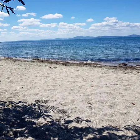 Budget First Sea Line Apt. Flora 아파트